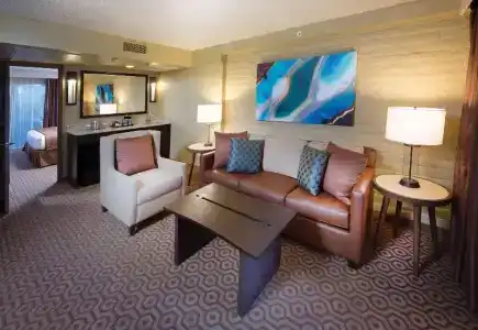 DoubleTree Suites by Hilton Tucson-Williams Center - 38