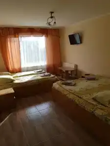 Тога - 29