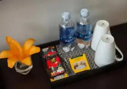 Sapa Topaz & Spa - 15