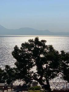 PrimoPianoPosillipo - 14