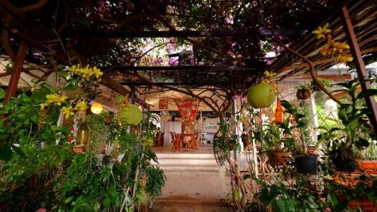 Patty's Secret Garden - 14