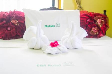 Cba - 31