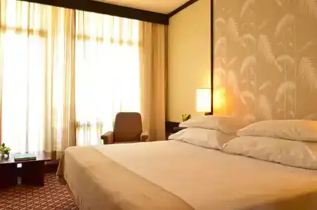 Pestana Casino Park & Casino - 3