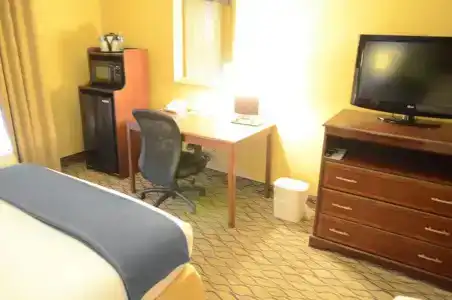 Holiday Inn Express & Suites Houston-Downtown Convention Center, An Ihg - 33