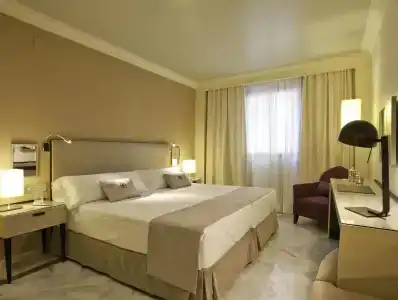 Vincci Albayzin - 37