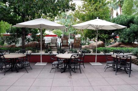 Hilton Grand Vacations Club Flamingo Las Vegas - 30