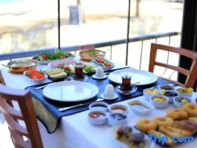 Çamlık 87 Ayvalık - 102