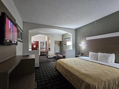 Quality Inn & Suites Dfw Airport South - 40