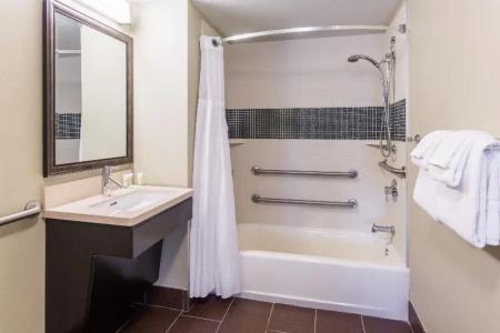 Sonesta ES Suites Atlanta Perimeter Center - 65