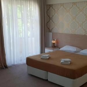 Nicea - 40