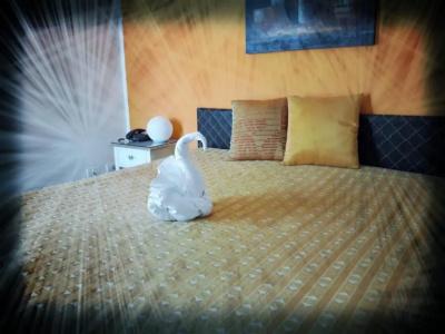 b&b Il Mandorlo - 47