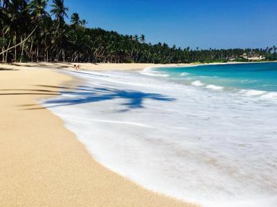 Little Tamarind - 15