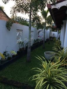 Sunrise Palace Negombo - 30