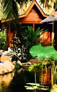 Phangan Rainbow Bungalows - 30