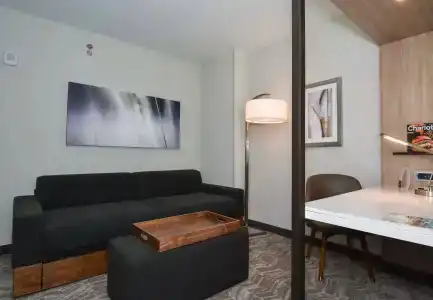 SpringHill Suites by Marriott Charlotte Uptown - 25