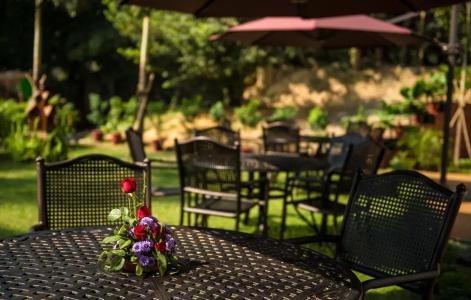 Rose Garden - 44