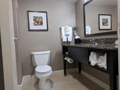 Holiday Inn Charlotte University, An Ihg - 17