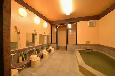 Japanese Ryokan Seryo - 7