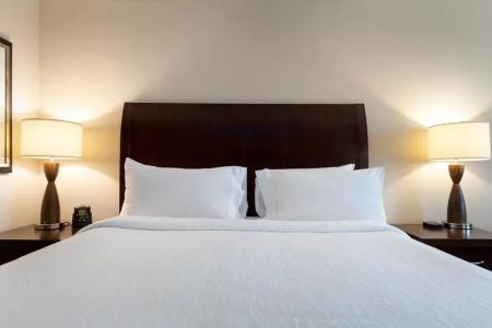 Hilton Garden Inn West I-65 Airport Boulevard - 39