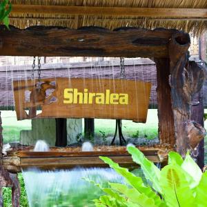 Shiralea Island Resort - 51