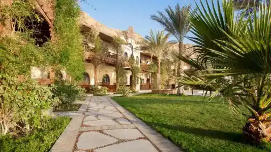 Dahab Paradise - 19