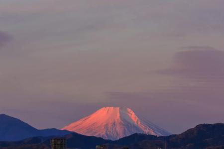 Apa Hachioji Eki Nishi - 21