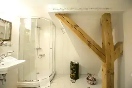 Шекспир - 38