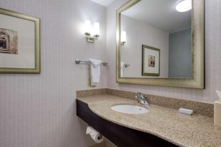 Hilton Garden Inn Southpoint - 7