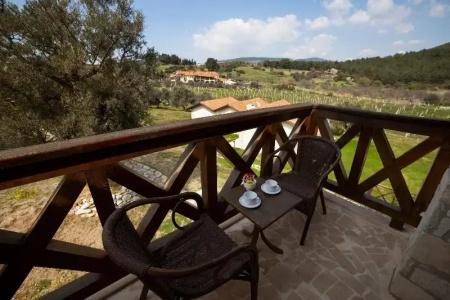 Vinifera Vineyards - 69