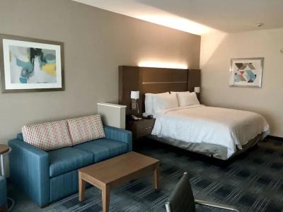 Holiday Inn Express & Suites - Houston Westchase - Westheimer, an IHG - 65