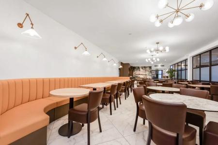 King Solomon- Golders Green - 16