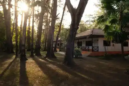 Pakmeng - 40