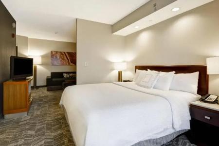 SpringHill Suites Near the University of Kentucky - 41