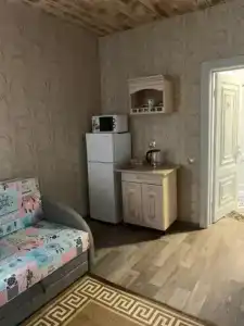Камелия - 10