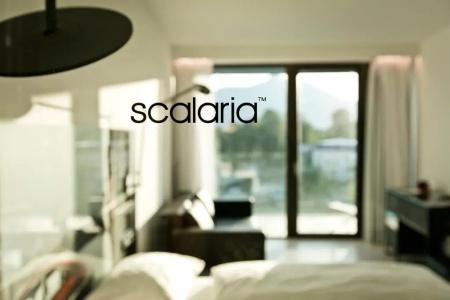 Scalaria Sunset Wing - 69