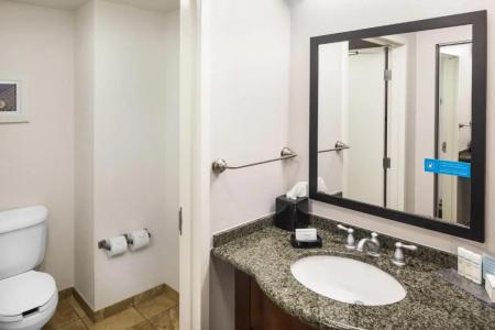 Hampton Inn & Suites-Downtown - 32