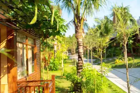 Phu Quoc Bambusa Resort - 117