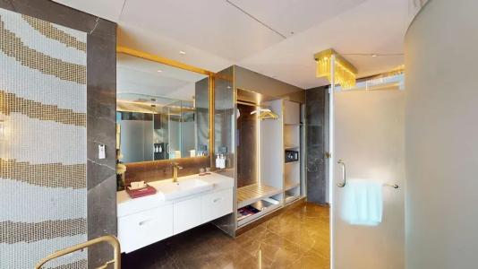 Radisson Blu Grt, Chennai - 113