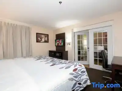 Red Roof Inn Plus + Phoenix West - 63