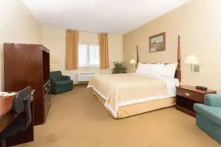 Days Inn by Wyndham Colorado Springs Airport - 4