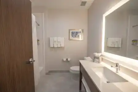 Holiday Inn Express & Suites - Houston Westchase - Westheimer, an IHG - 19
