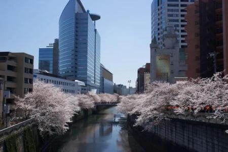 Meguro Emperor (Adult Only) - 10