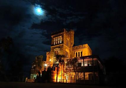 Camp Estate by Larnach Castle - 27