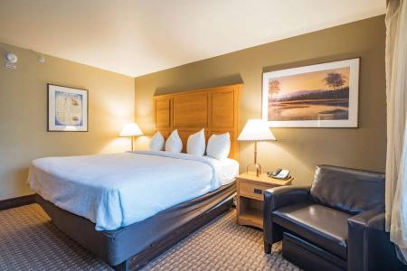 Best Western Plus Grantree Inn - 117