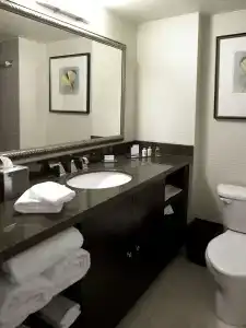 DoubleTree by Hilton Charlotte Airport - 9