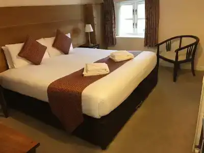 Oyo The Regency - 40