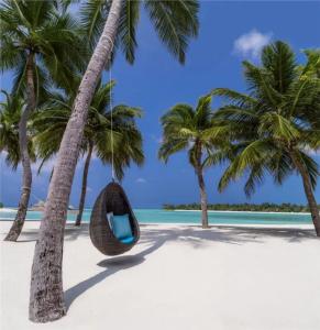 One&Only Reethi Rah - 21