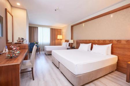 Dedeman Konya Convention Center - 37