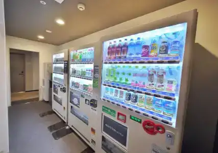 Route-Inn Grand Tokyo Asakusabashi - 9