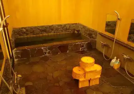Ryokan Sawaya Honten - 8